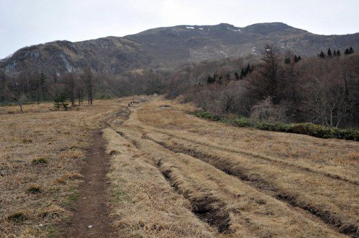 伊吹山3合目付近の登山道の様子