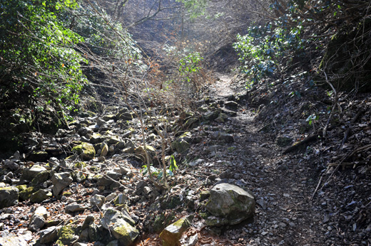 景信山への登山道の様子