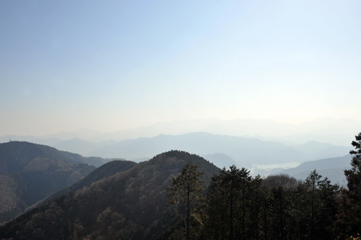 景信山から見る丹沢