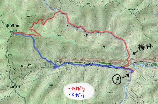 小下沢から景信山の登山コース