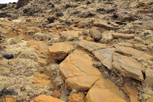 高岳火口の登山道の様子