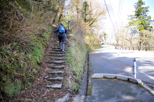 大山　夏山登山口