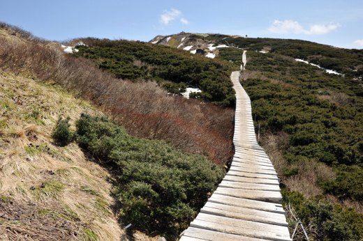 大山の稜線の木道