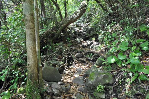 開聞岳の登山道の様子３