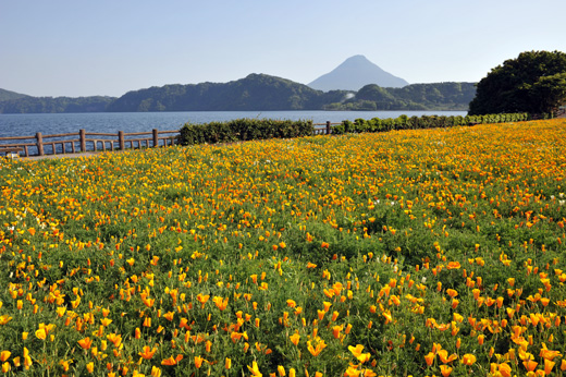 池田湖から見る開聞岳