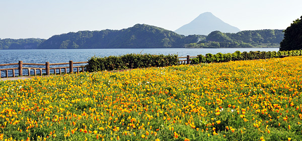 池田湖から見た開聞岳