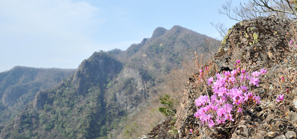 祖母山の黒金コース 馬の背から見た祖母山