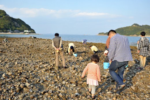 小豆島　潮干狩り見学