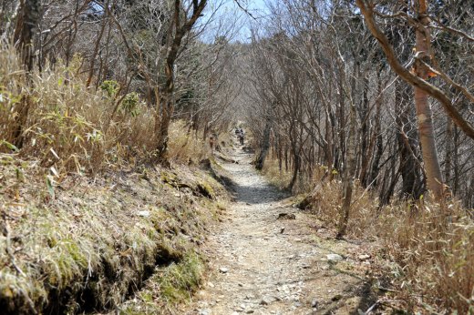 剣山の登山道の様子