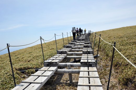 剣山の山頂への木道