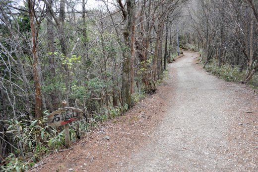 石鎚山の登山道１