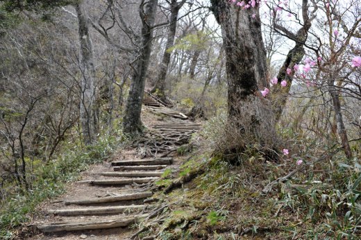 石鎚山の登山道２