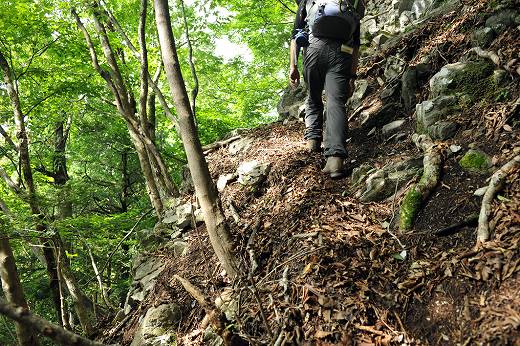 タワ尾根登山道の様子