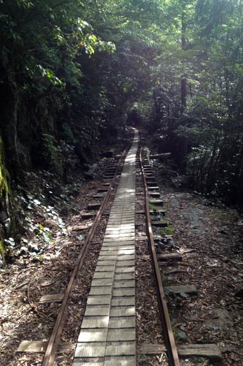 屋久島 トロッコ道