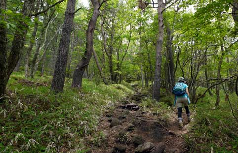 編笠山の登山道