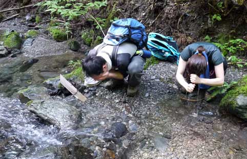 陣馬山 西沢林道の沢