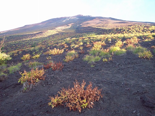 9月の富士山の様子