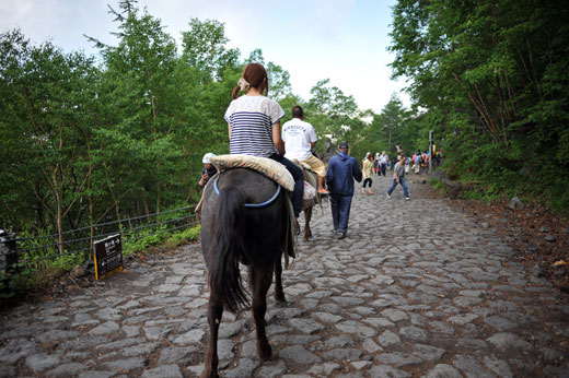 吉田ルートを歩く馬