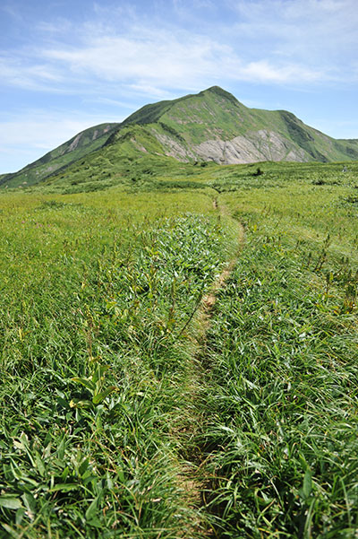 北アルプス 白馬岳の縦走路