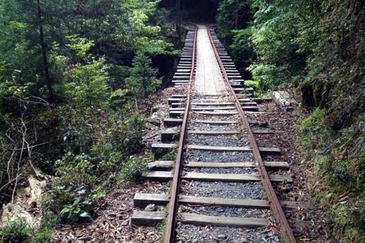 屋久島　縄文杉のトロッコ道