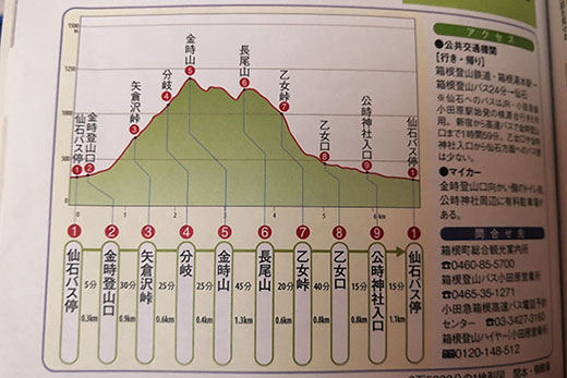 金時山の標高図