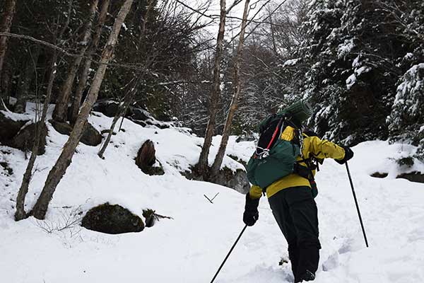 雪山登山　森を歩く