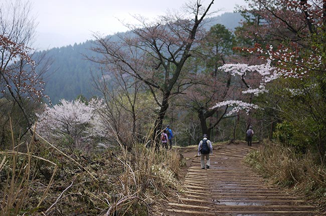 高尾山