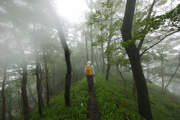 雨の日の登山　丹沢
