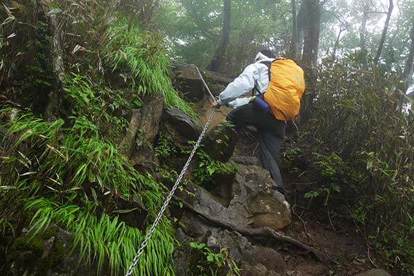 登山道上の梯子