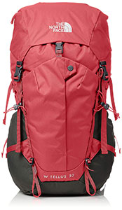 THE NORTH FACE ウィメンズ テルス30