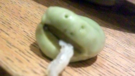 そら豆で作ったキャラクター