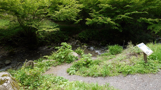 日影沢 バリエーションルートの登山口