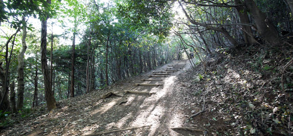 登山 高 尾山