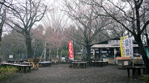 城山と城山茶屋