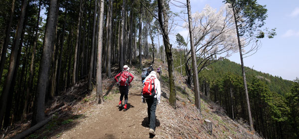 高尾山1号路