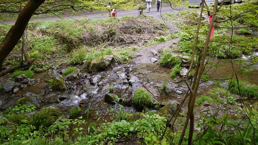 城山東尾根の入り口の飛び石