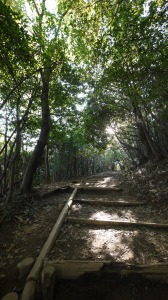 稲荷山コース登山道の様子　階段いっぱい