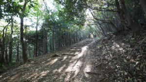 稲荷山コース登山道の様子　階段いっぱい２