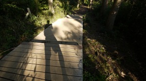 整備された稲荷山登山道