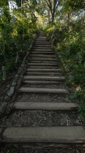 山頂への最後の階段